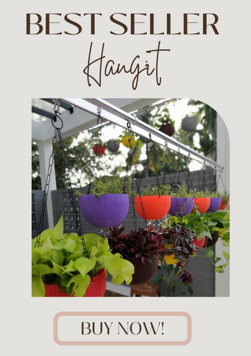 Hangit by Shapes & Space